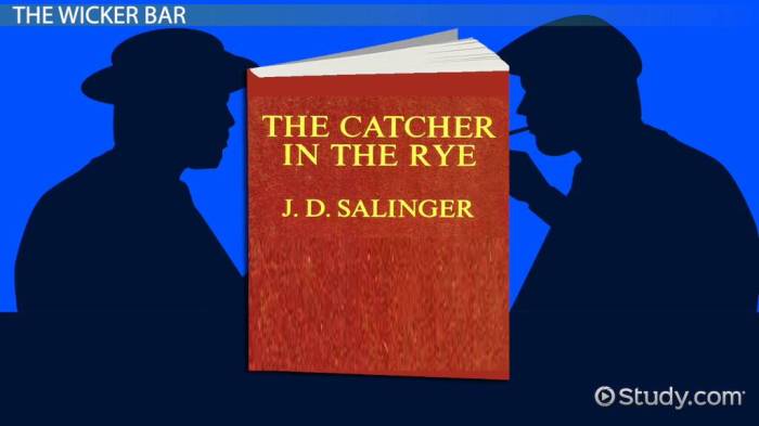 Catcher in the rye ch 16