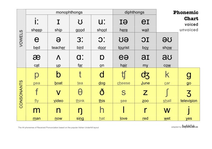 How many phonemes in flight