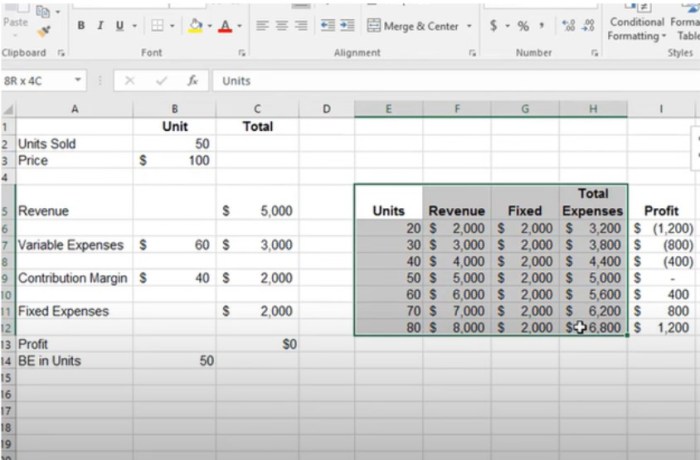 Describe what each letter stands for in the cvp graph.