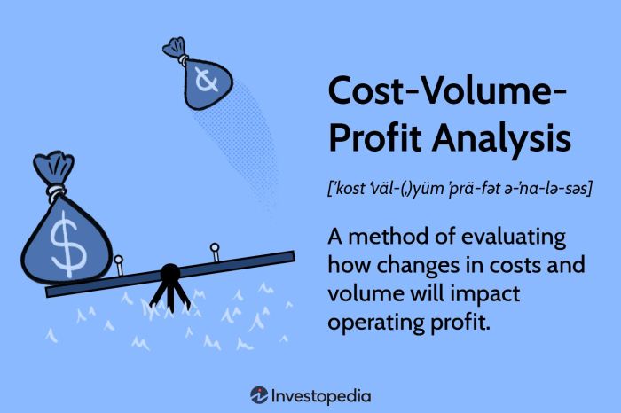 Describe what each letter stands for in the cvp graph.